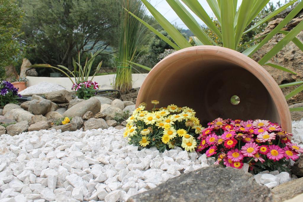 Maria Caderina Green Village Posada  Dış mekan fotoğraf