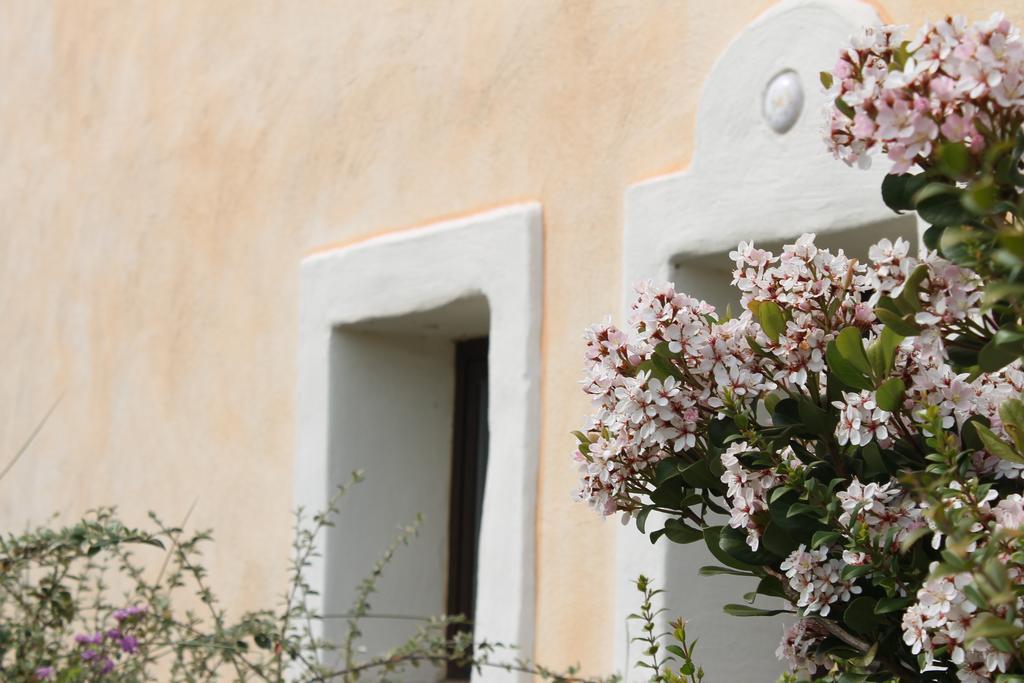Maria Caderina Green Village Posada  Dış mekan fotoğraf