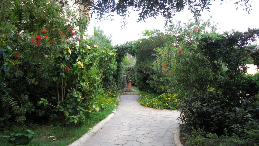 Maria Caderina Green Village Posada  Dış mekan fotoğraf
