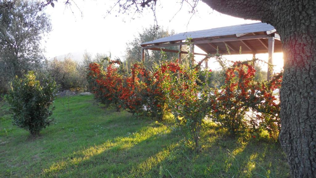 Maria Caderina Green Village Posada  Dış mekan fotoğraf